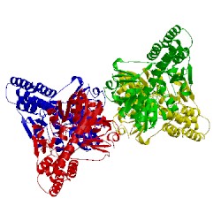 Image of CATH 1t5o