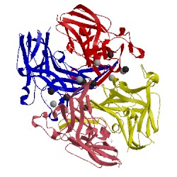 Image of CATH 1t61