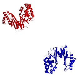 Image of CATH 1t6d