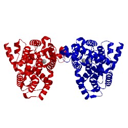 Image of CATH 1tb5