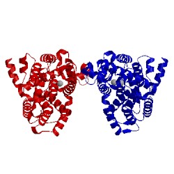 Image of CATH 1tb5