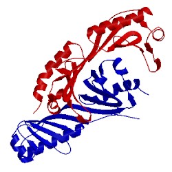 Image of CATH 1tbp