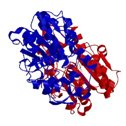 Image of CATH 1tcb