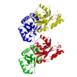 Image of CATH 1td5