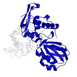 Image of CATH 1tdz