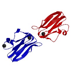 Image of CATH 1tef