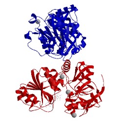 Image of CATH 1teh