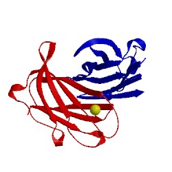 Image of CATH 1tfp