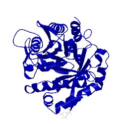 Image of CATH 1tfv