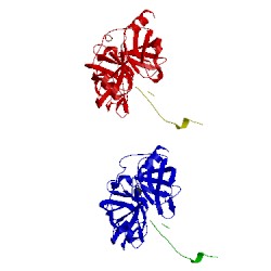 Image of CATH 1tfx