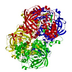 Image of CATH 1th2