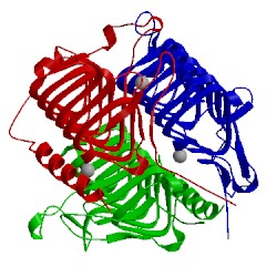 Image of CATH 1thj