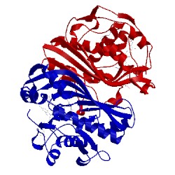 Image of CATH 1tls