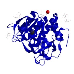 Image of CATH 1tm1