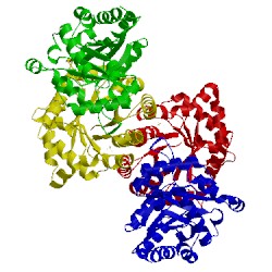 Image of CATH 1tmh