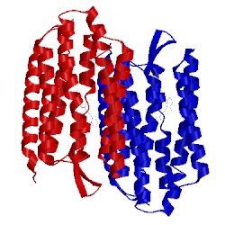 Image of CATH 1tn5