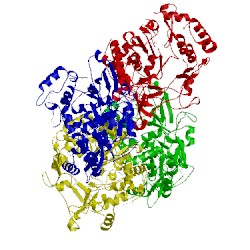 Image of CATH 1tp7