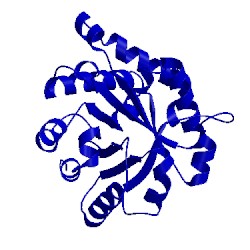 Image of CATH 1tpe