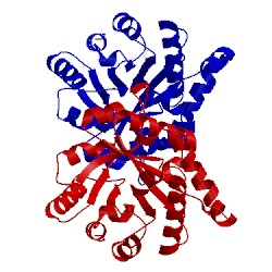 Image of CATH 1tpf