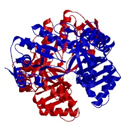 Image of CATH 1tpl