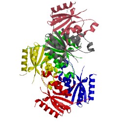 Image of CATH 1tq8