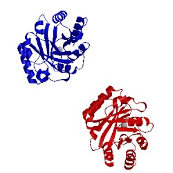 Image of CATH 1tqx