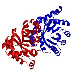 Image of CATH 1trd