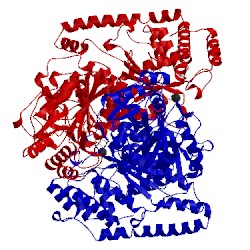 Image of CATH 1trk