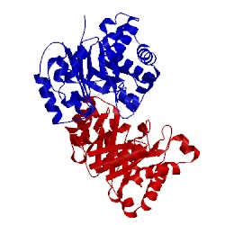 Image of CATH 1tsi