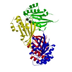 Image of CATH 1tu4