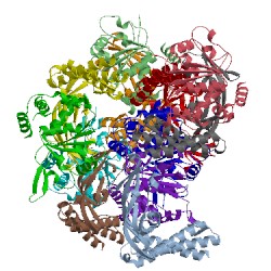 Image of CATH 1tue