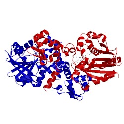 Image of CATH 1tw3