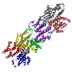 Image of CATH 1tw9