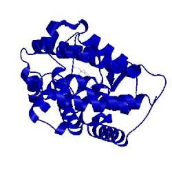 Image of CATH 1txi