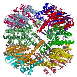 Image of CATH 1tyf