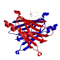 Image of CATH 1tyr