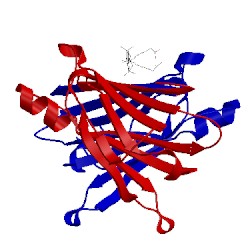 Image of CATH 1tyr