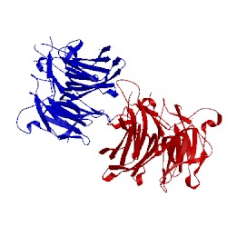 Image of CATH 1u4c