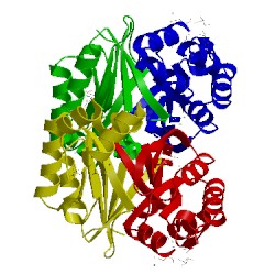 Image of CATH 1u69