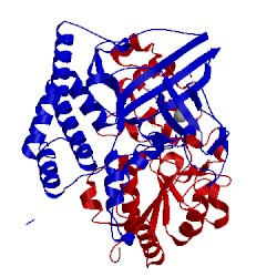 Image of CATH 1ubu