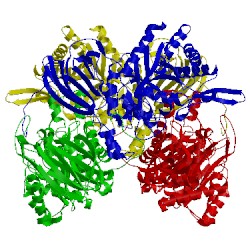 Image of CATH 1uhv