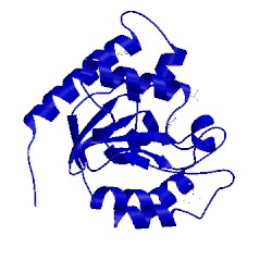 Image of CATH 1ui0