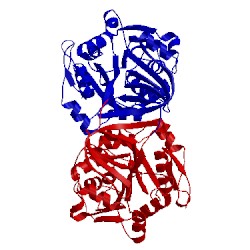 Image of CATH 1uir