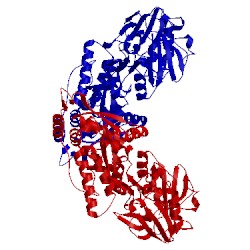 Image of CATH 1uiu