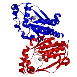 Image of CATH 1uj2