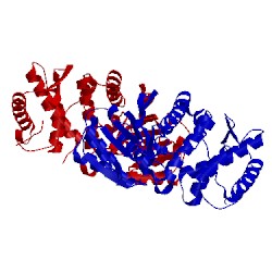 Image of CATH 1ujn
