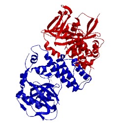 Image of CATH 1uk0