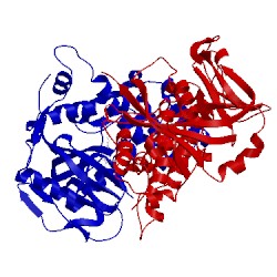 Image of CATH 1uk1