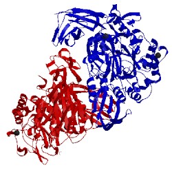 Image of CATH 1uks