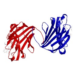 Image of CATH 1ulf